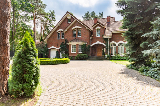 Best Decorative Driveway Pavers  in Long Prairie, MN