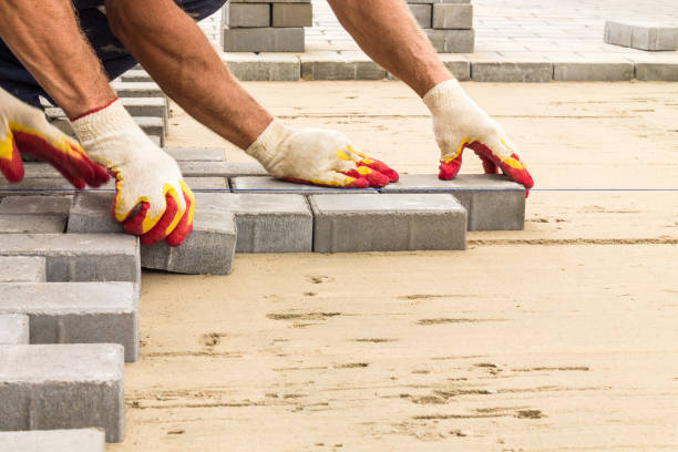 Best Affordable Driveway Pavers  in Long Prairie, MN