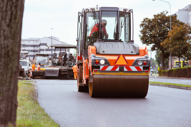 Best Local Driveway Pavers  in Long Prairie, MN