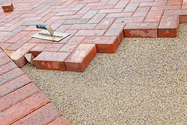 Best Driveway Paving Contractor  in Long Prairie, MN